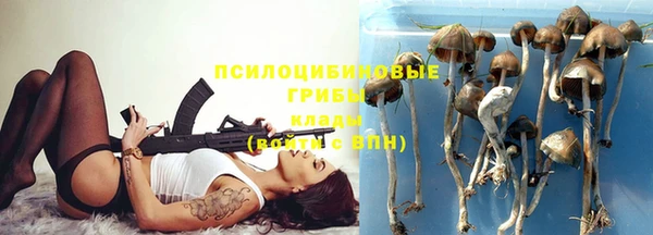 ПСИЛОЦИБИНОВЫЕ ГРИБЫ Балабаново