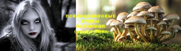 бутират Баксан