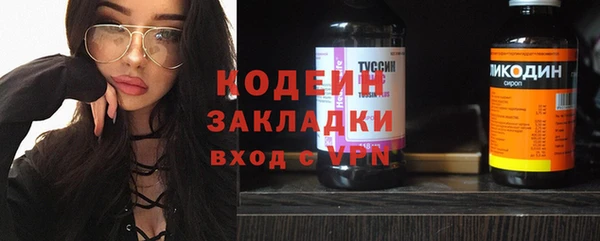 шишки Балахна