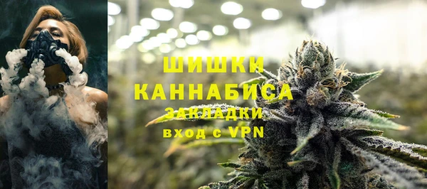 ПСИЛОЦИБИНОВЫЕ ГРИБЫ Балабаново