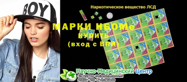 шишки Балахна