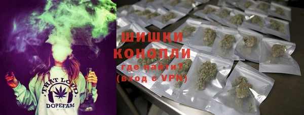 шишки Балахна